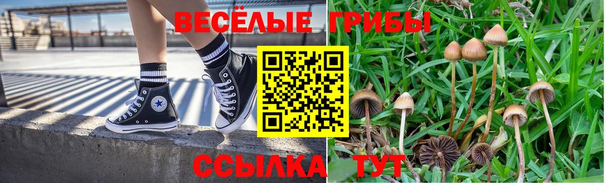 Псилоцибиновые грибы ЛСД Кандалакша